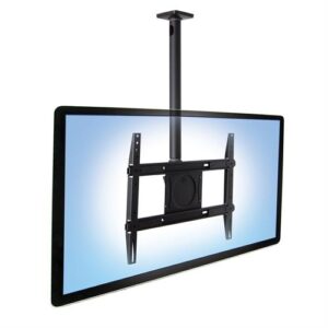 Ergotron Neo-Flex® Ceiling Mount | P/N: 60-842-223