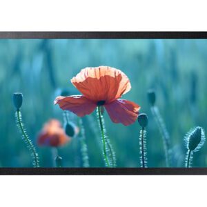 Samsung LH24QBREBGCXXS QBR 24" QB24R Full HD Small Display SMART Signage