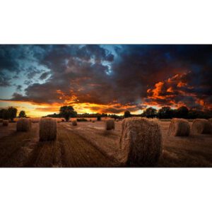 Samsung LH55VHBEBGBXXL VHB-E Extreme Narrow Bezel Video Wall