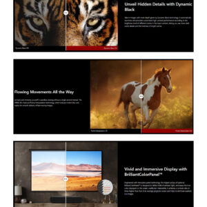 Viewsonic X1000-4K - Image 5