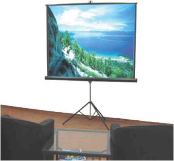 AV LOGIC 84 x 84" Tripod Screen