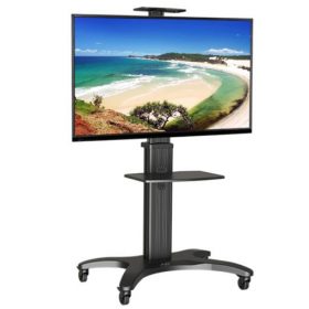 Monitor/TV Brackets (Portable and Mobile)